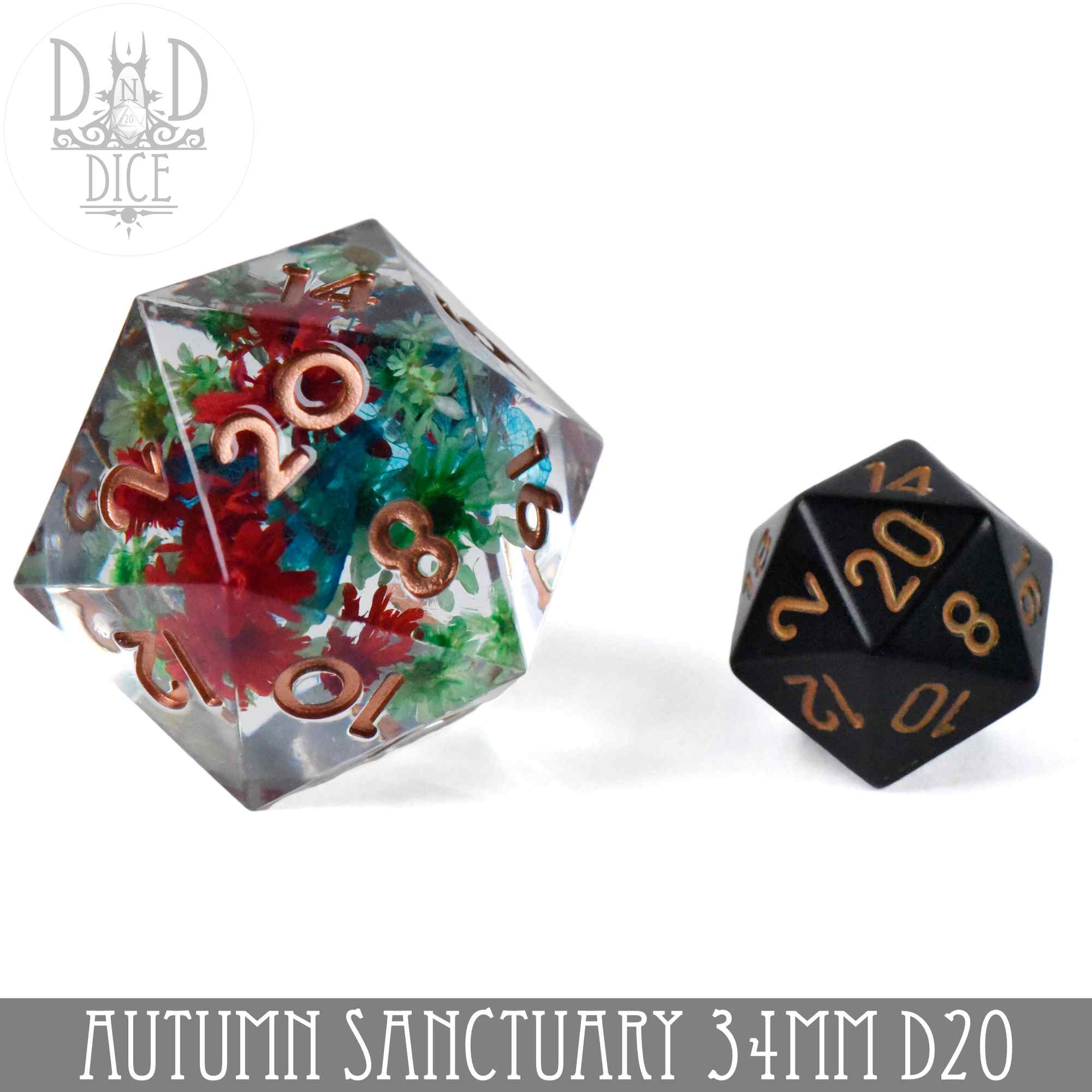 34mm D20 - Autumn Sanctuary
