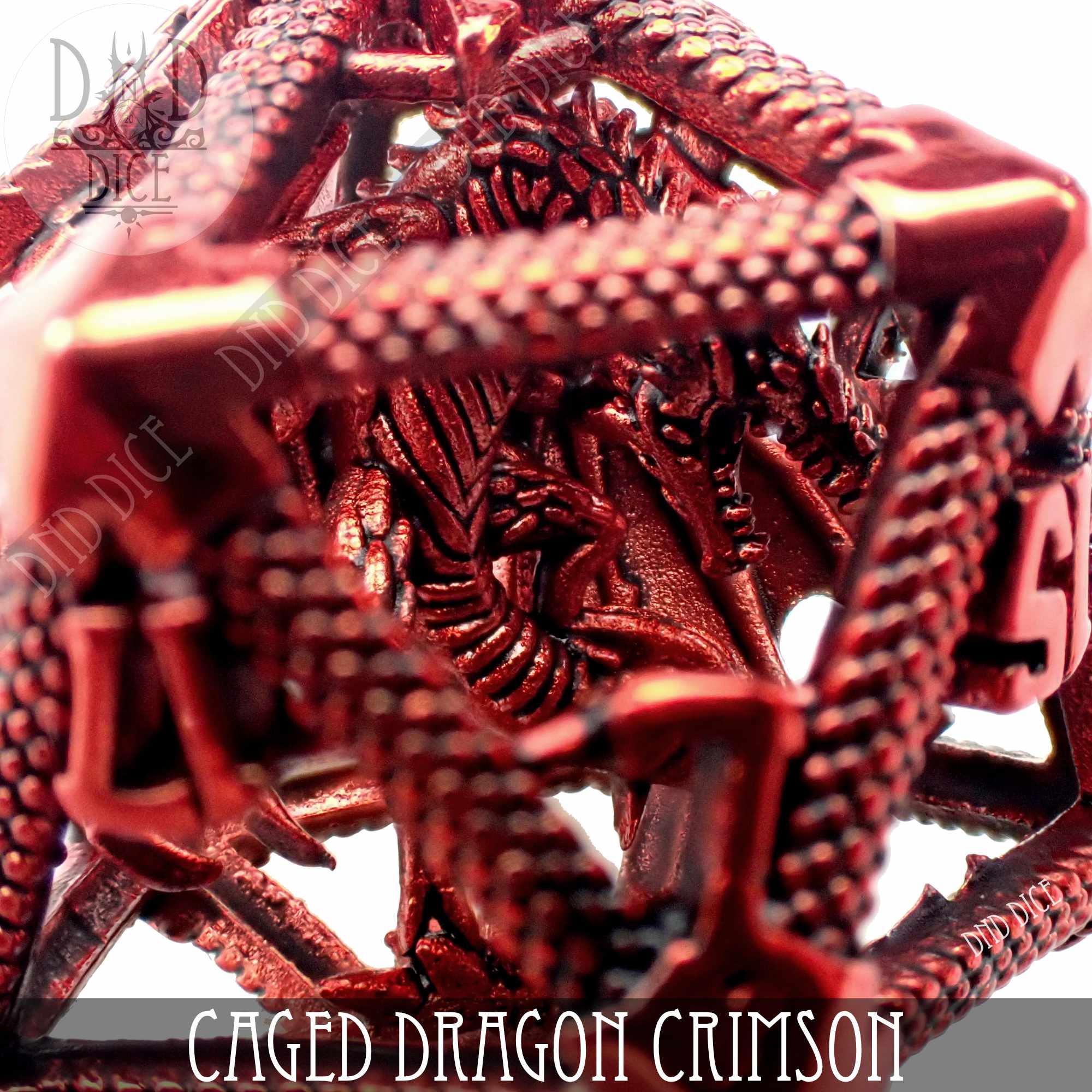 Caged Dragon D20 (6 Colors)